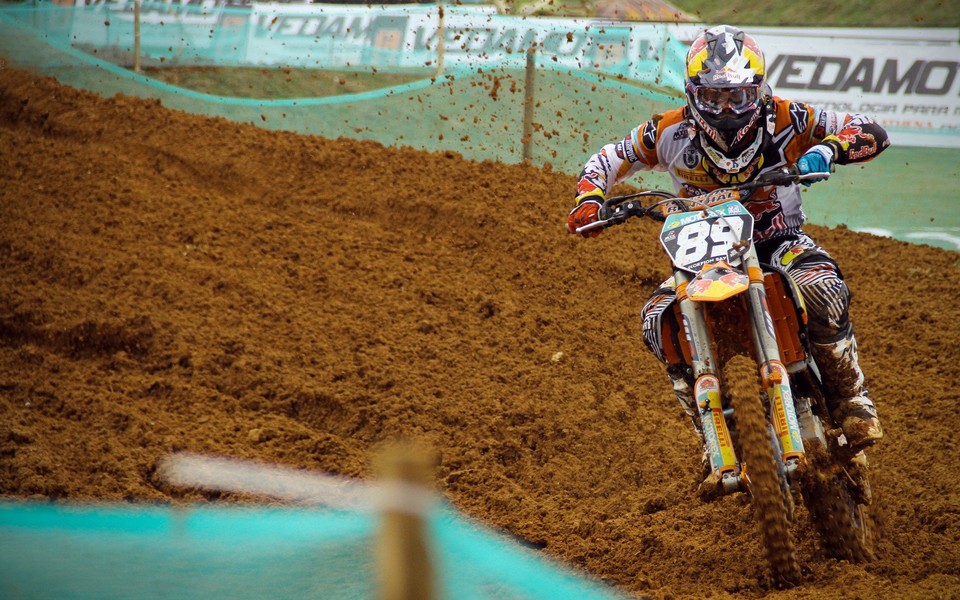 球迷“疯狂投票”：期待年度最佳新秀的最终赢家，球迷最疯狂的球队